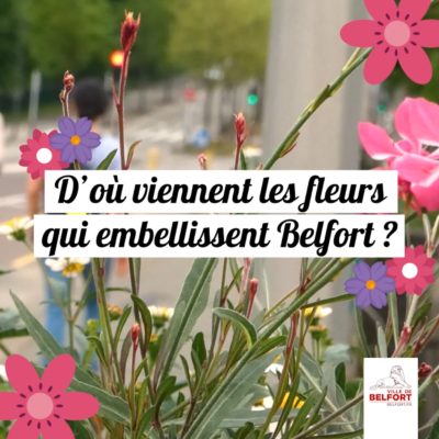 Embellissement de Belfort