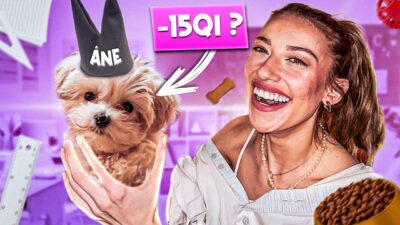 Alaïa – Je fais un test de QI à mon chiot de 5 mois